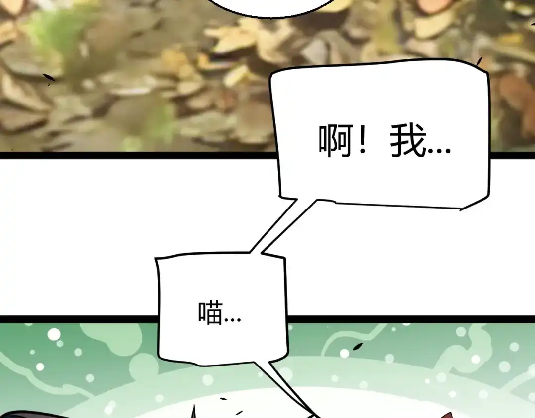 第209页