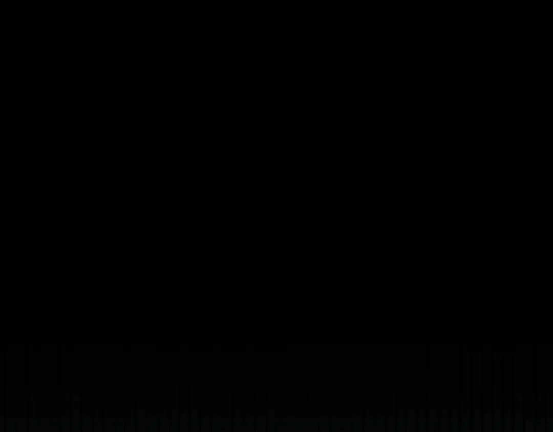 第223页