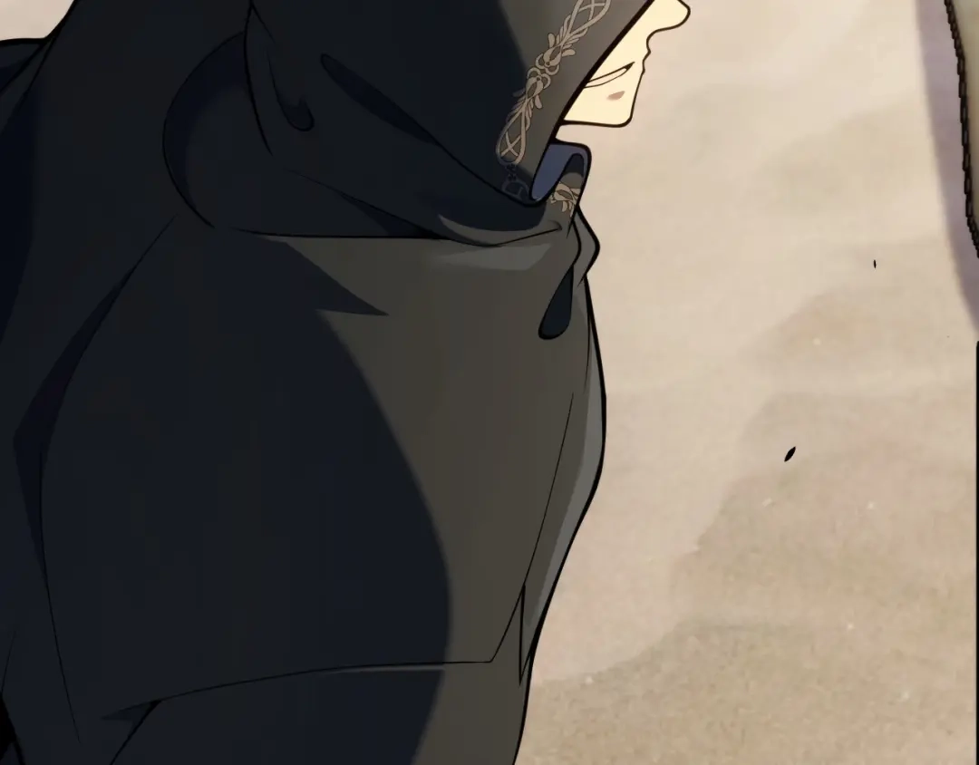 第213页