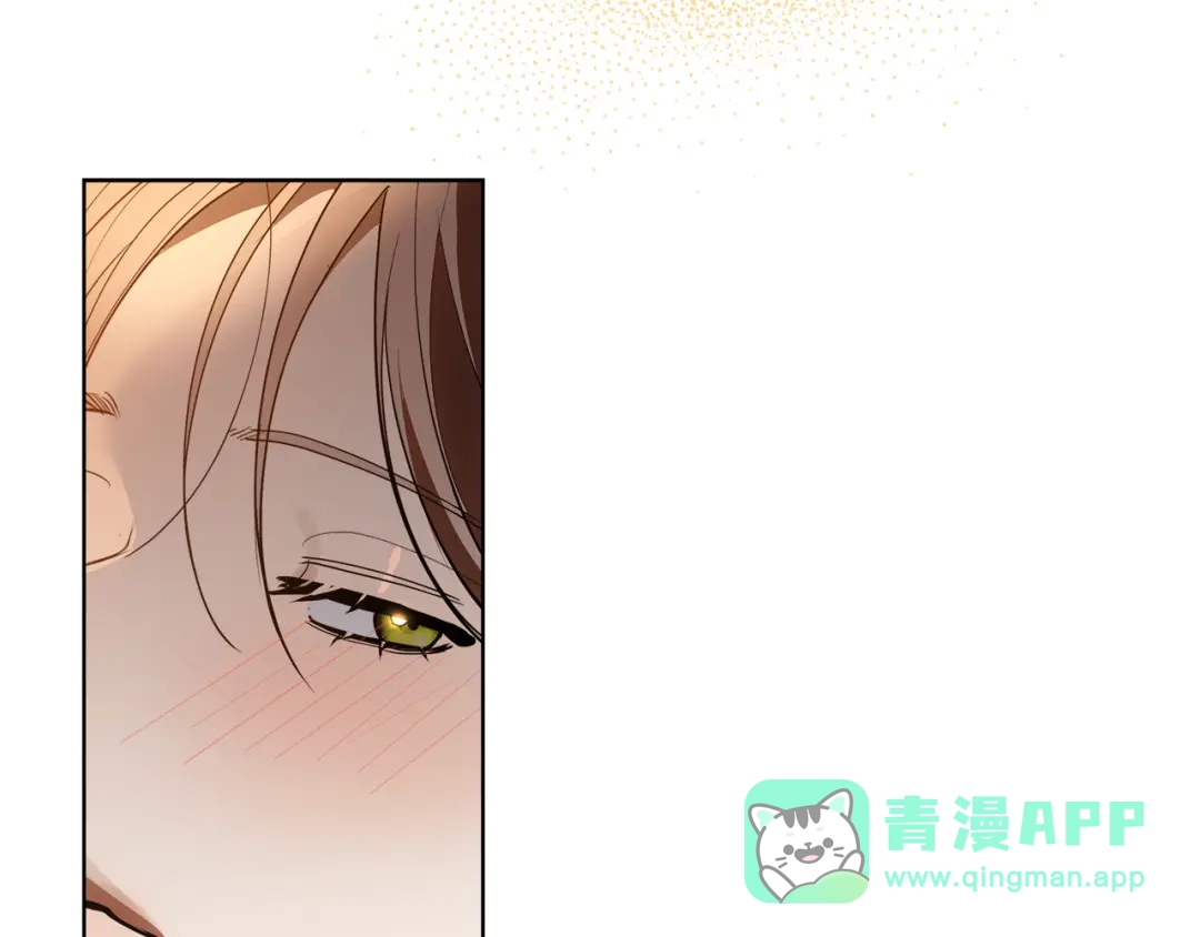 第221页