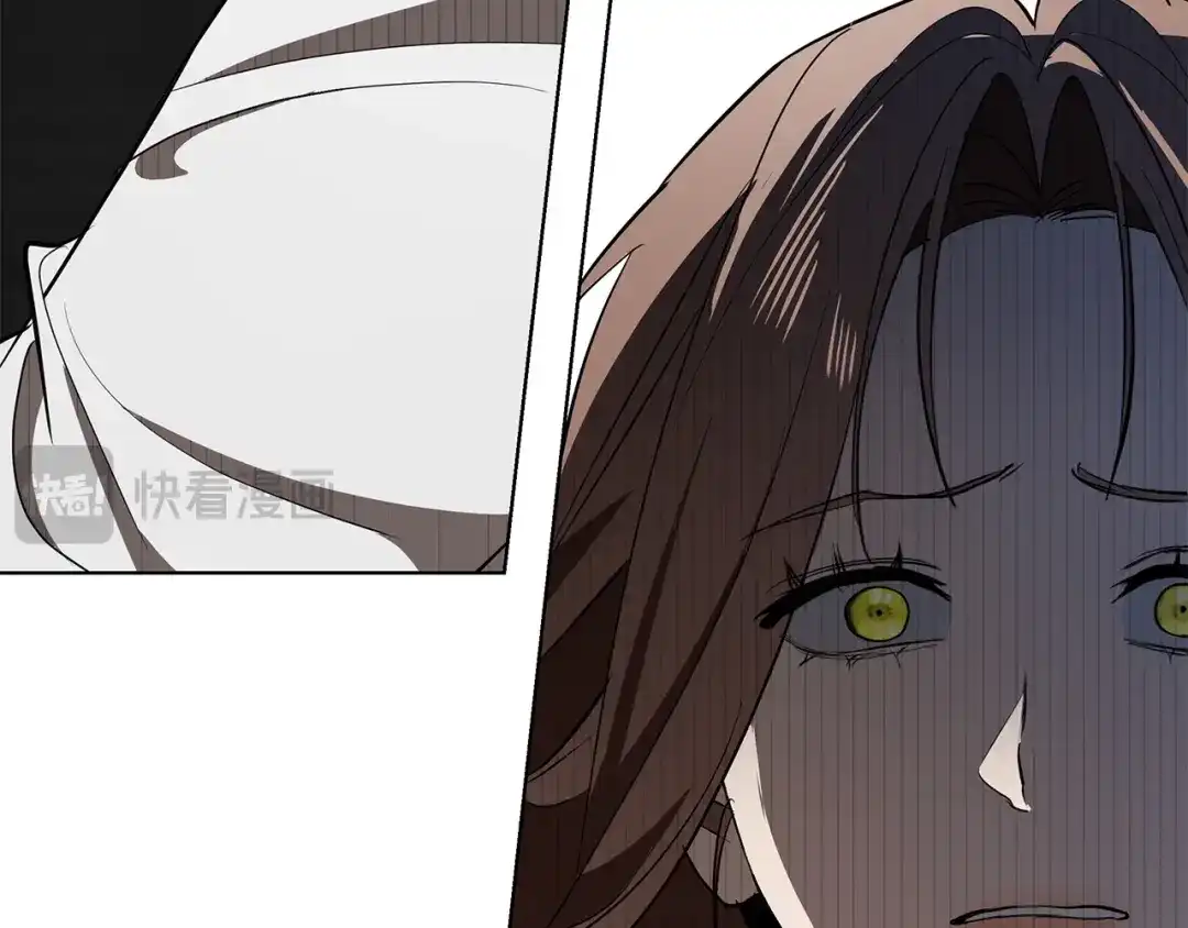 第241页