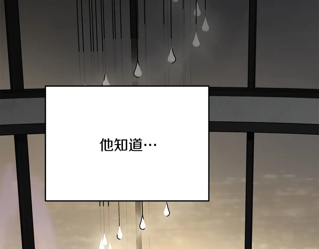 第246页