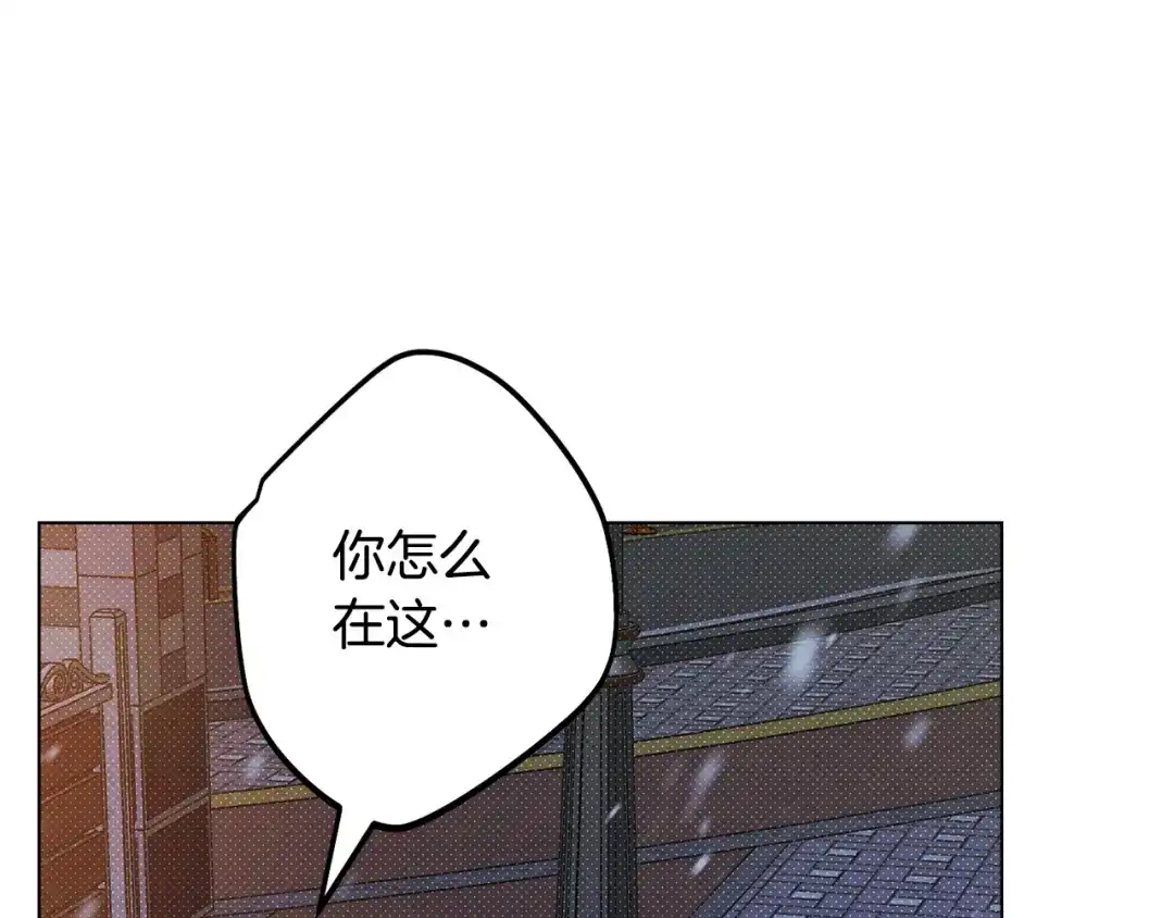 第219页