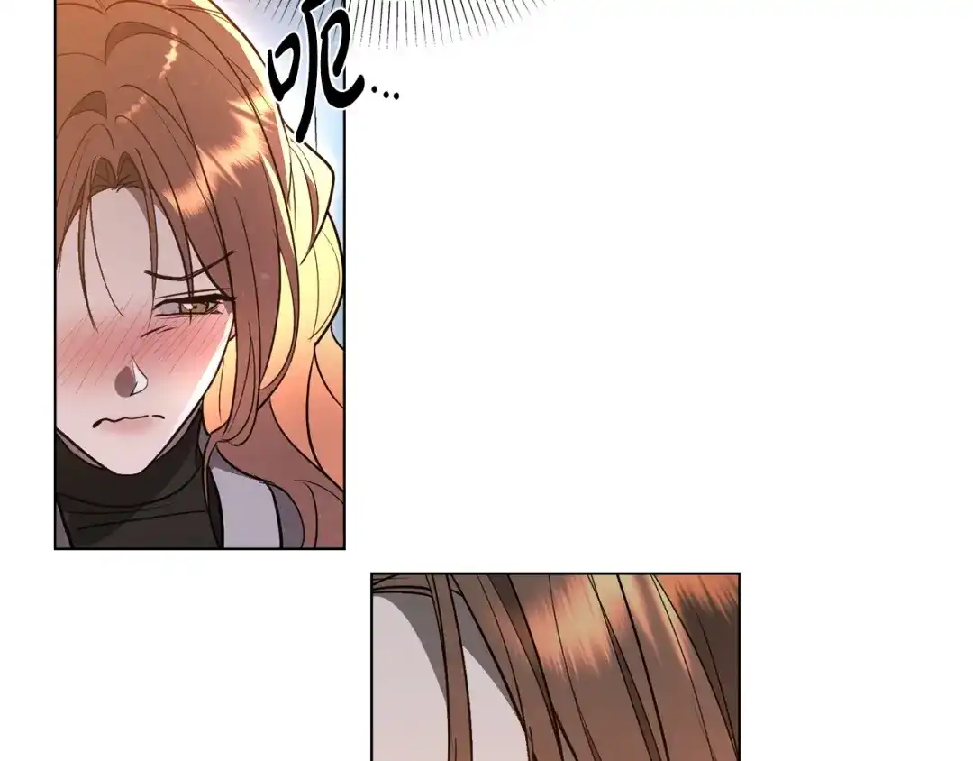第204页