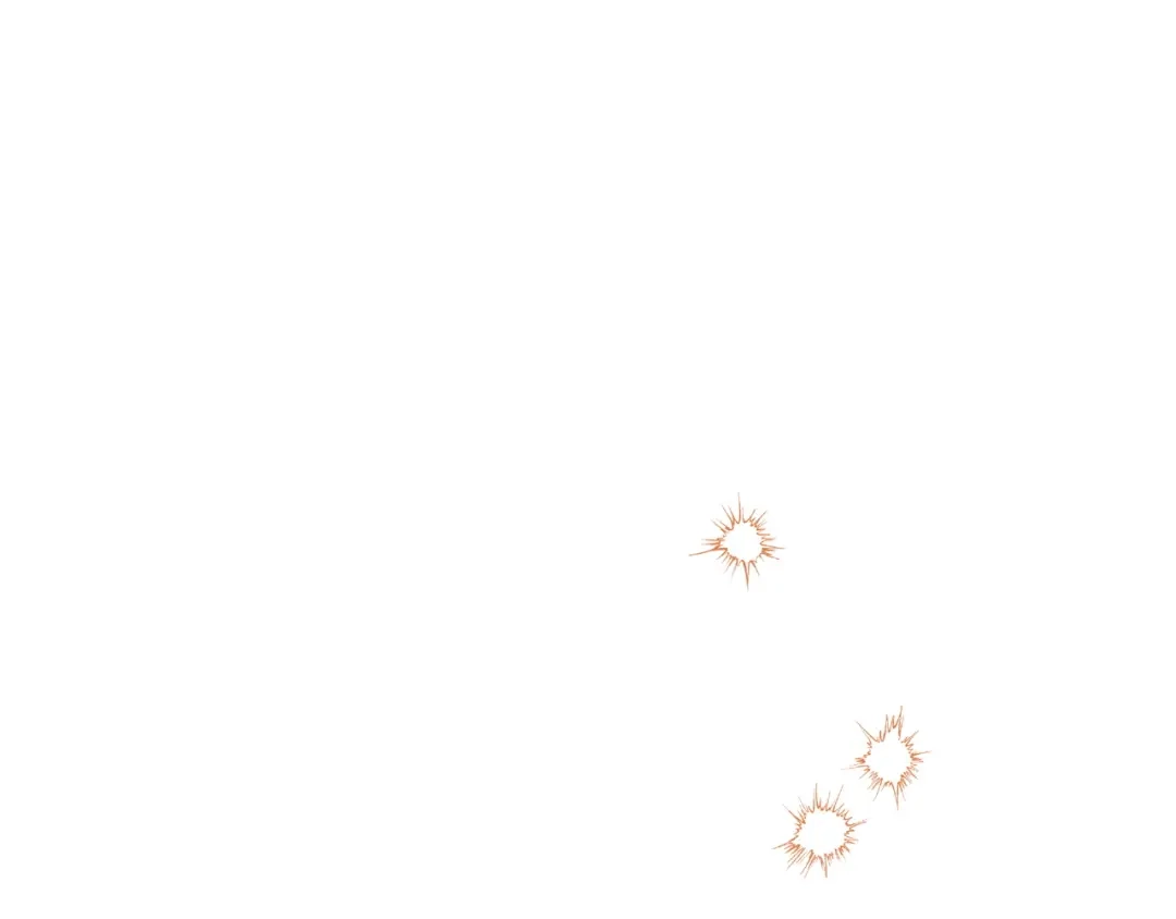 第213页