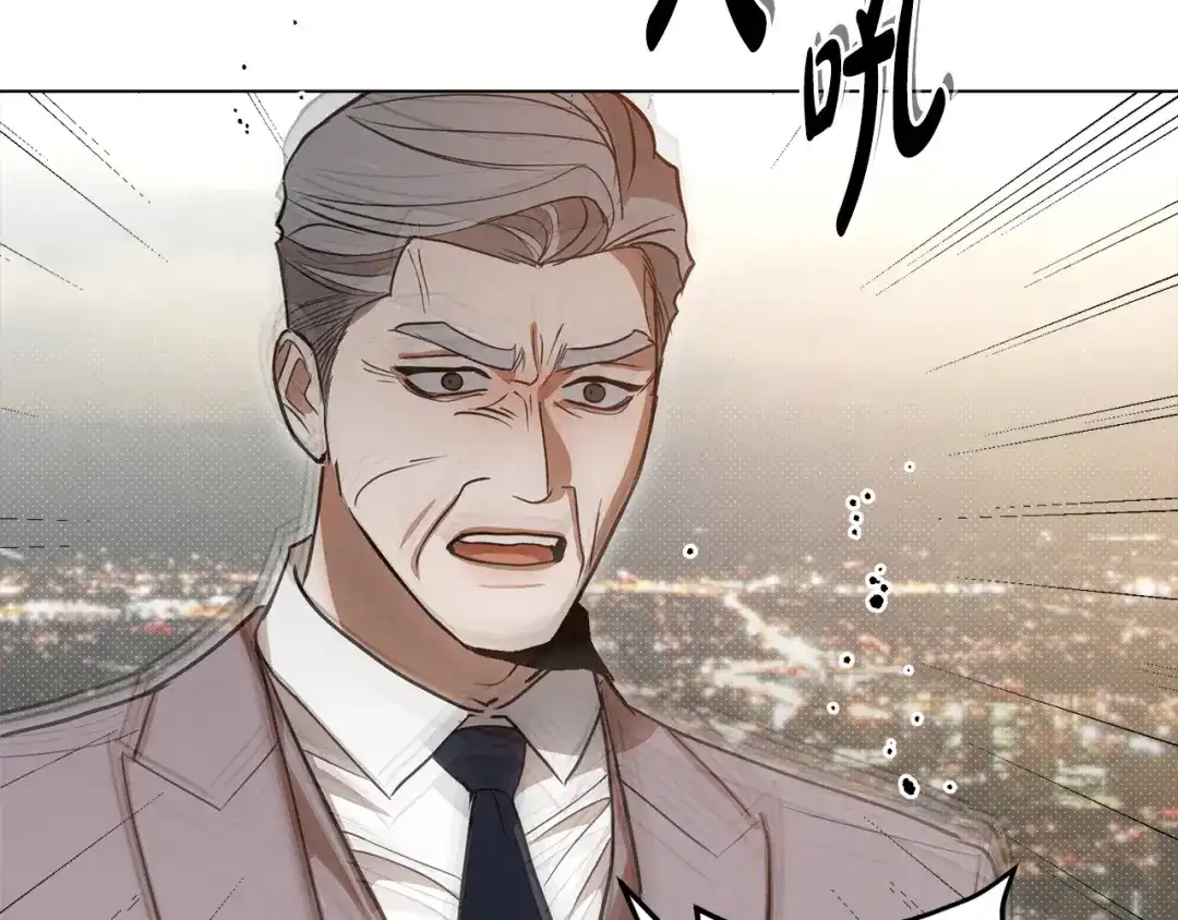 第238页