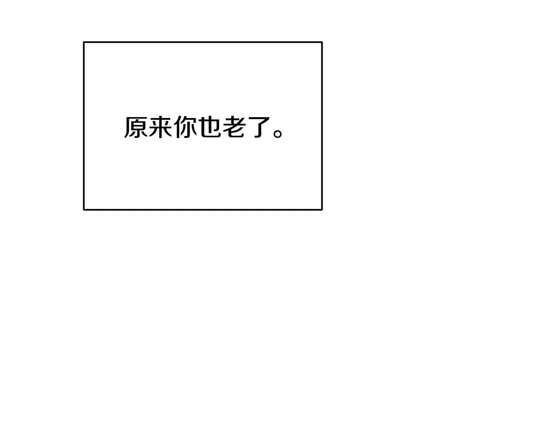 第246页