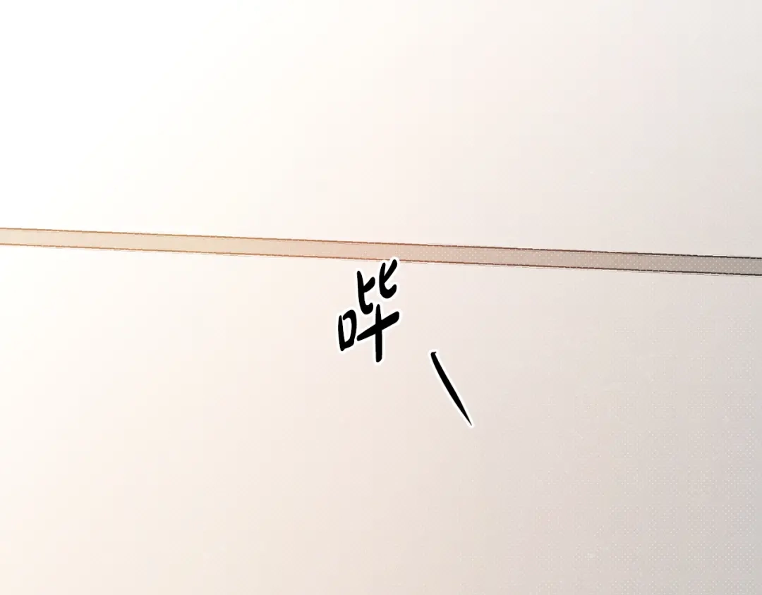 第254页