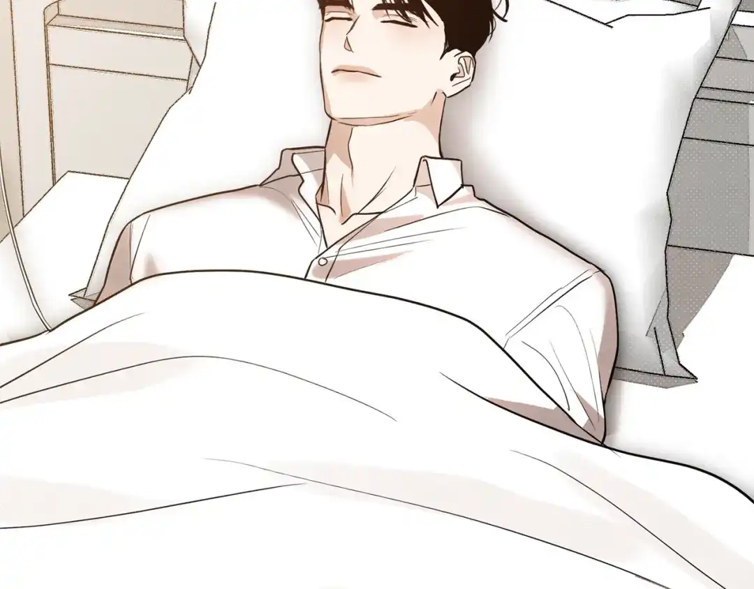 第256页
