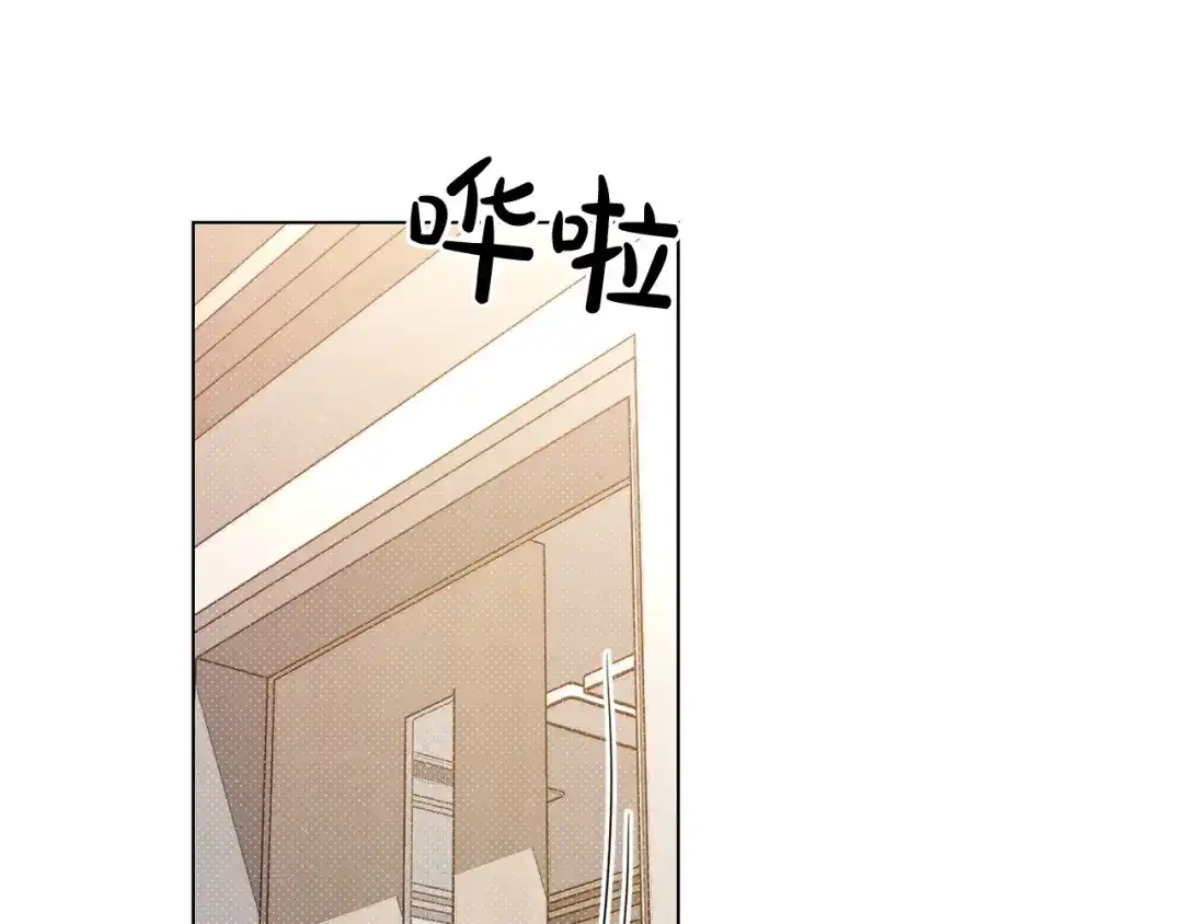 第195页