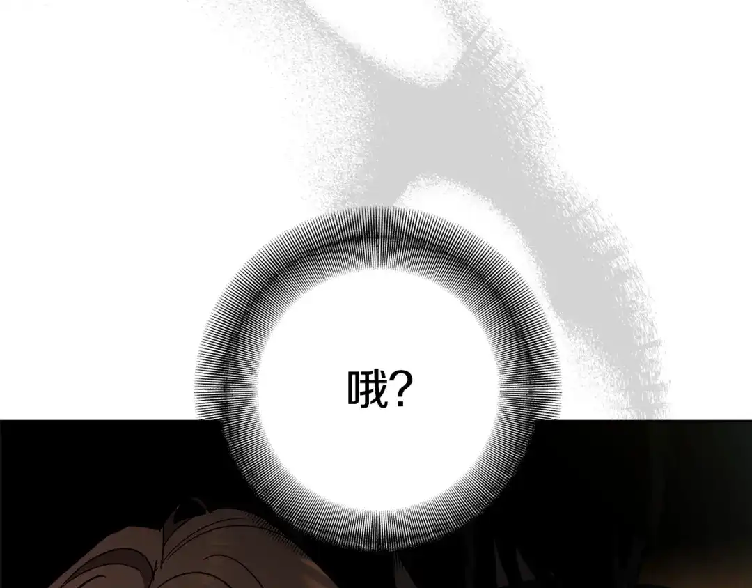 第225页