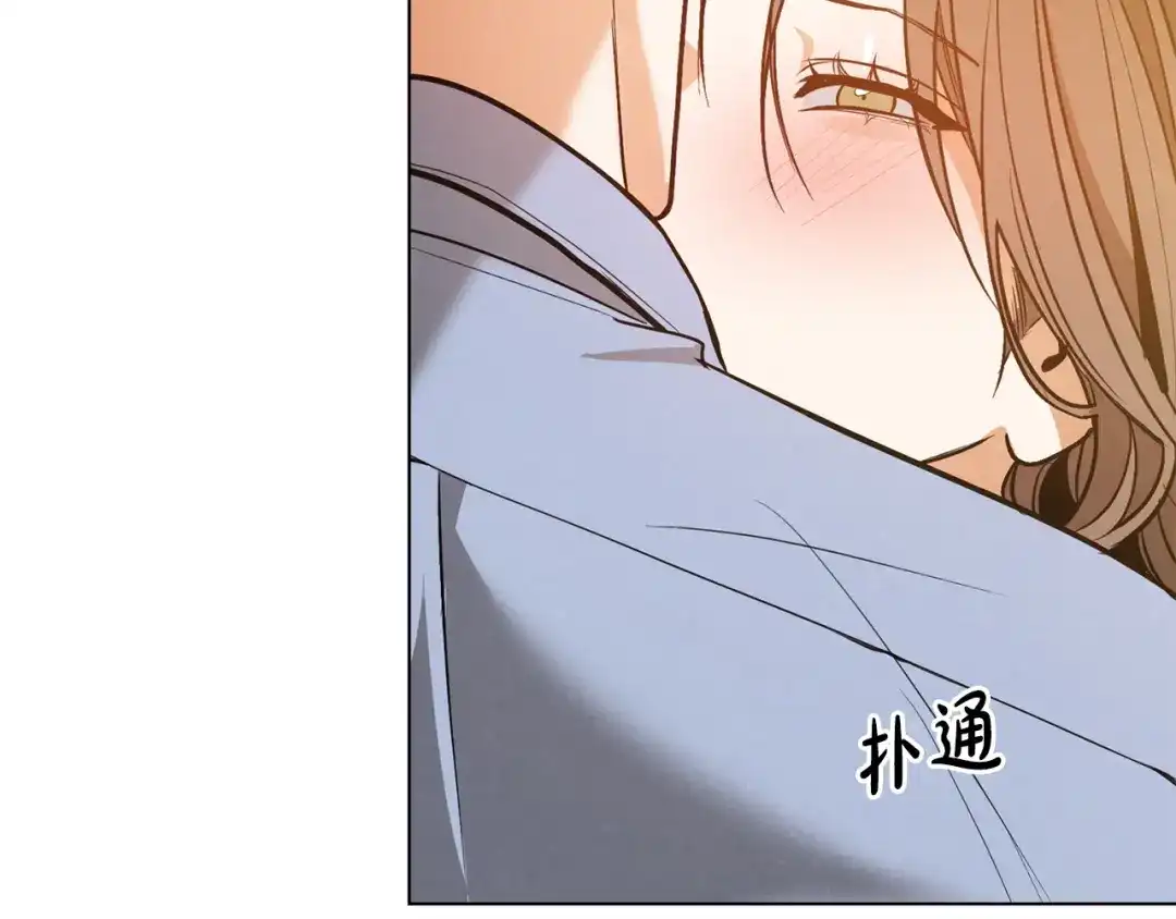 第207页