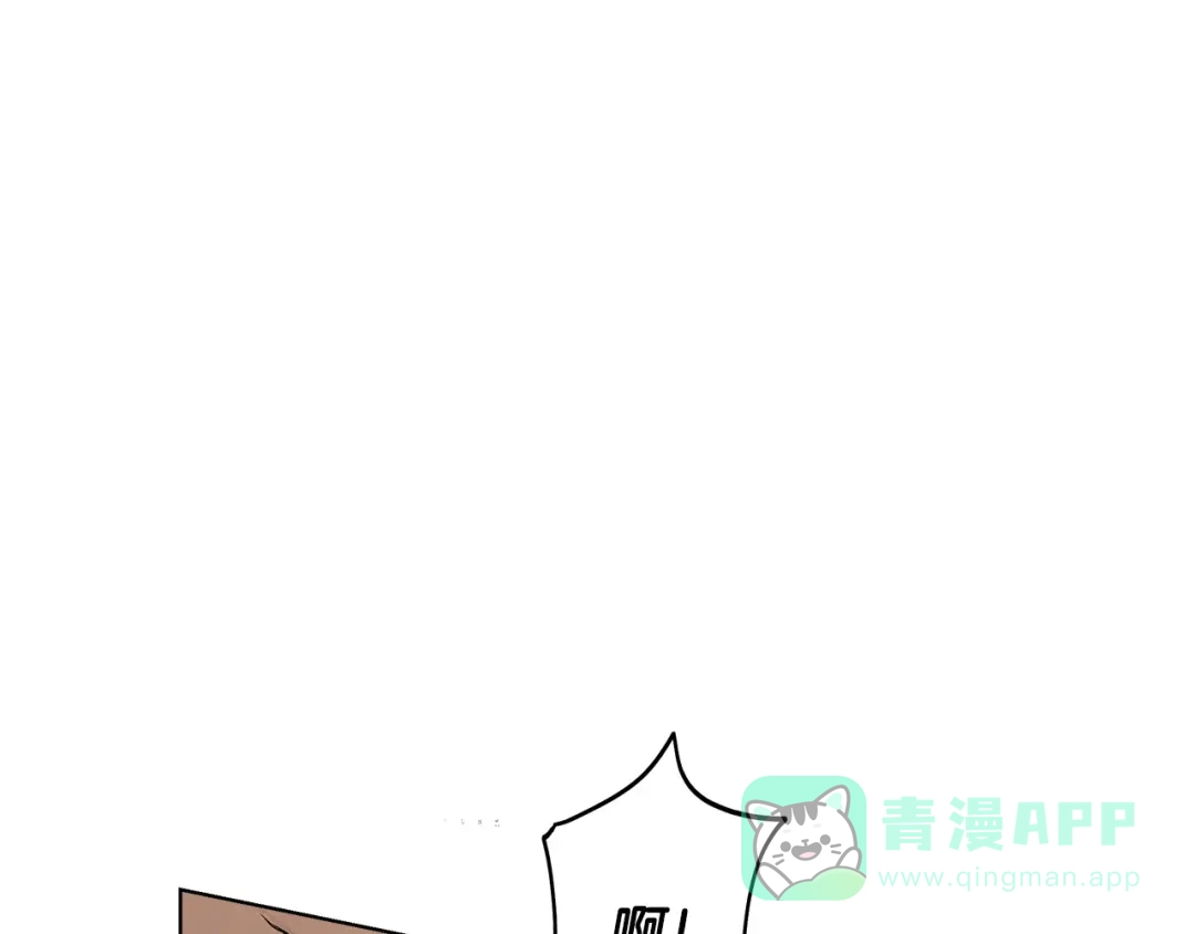 第206页
