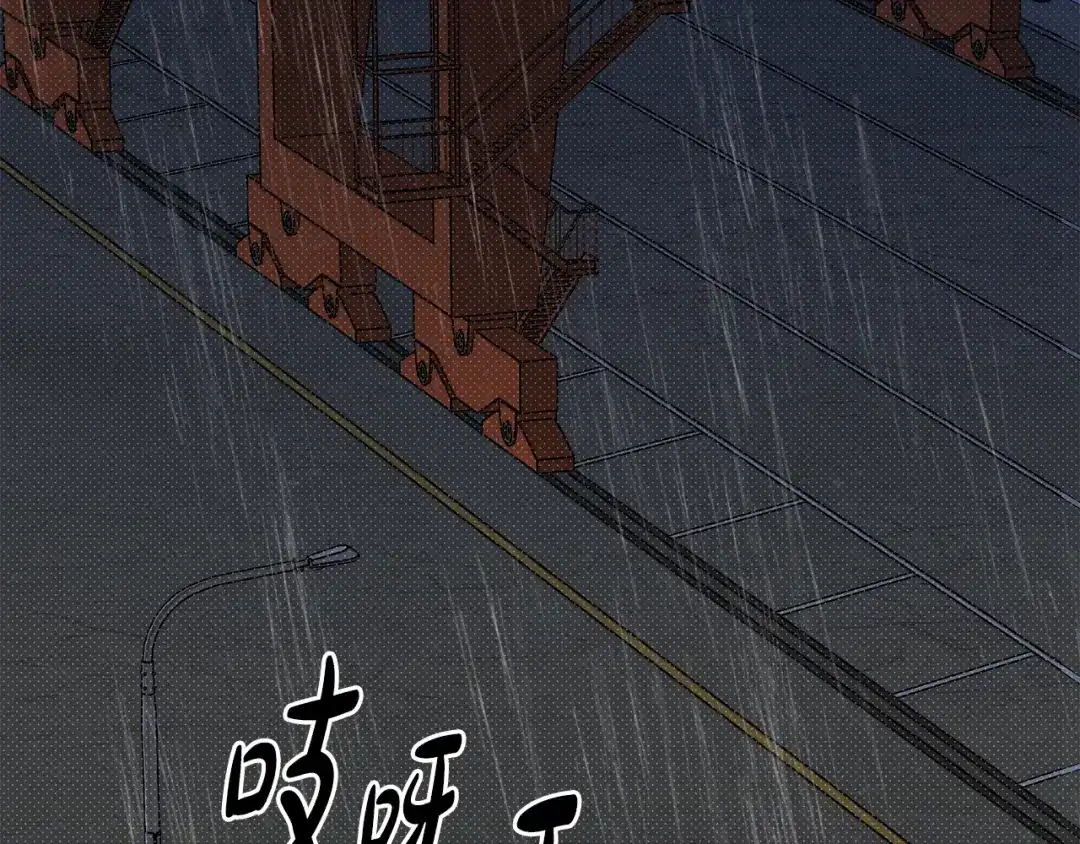 第204页