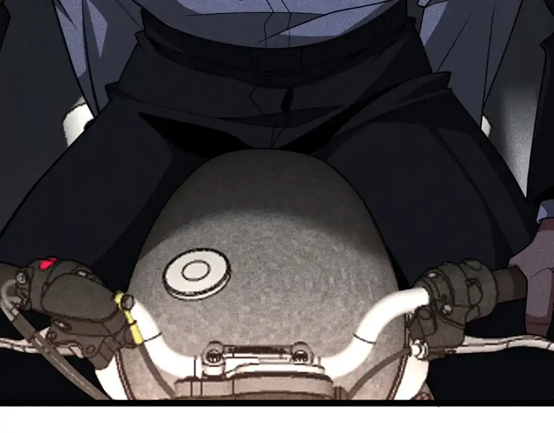第219页