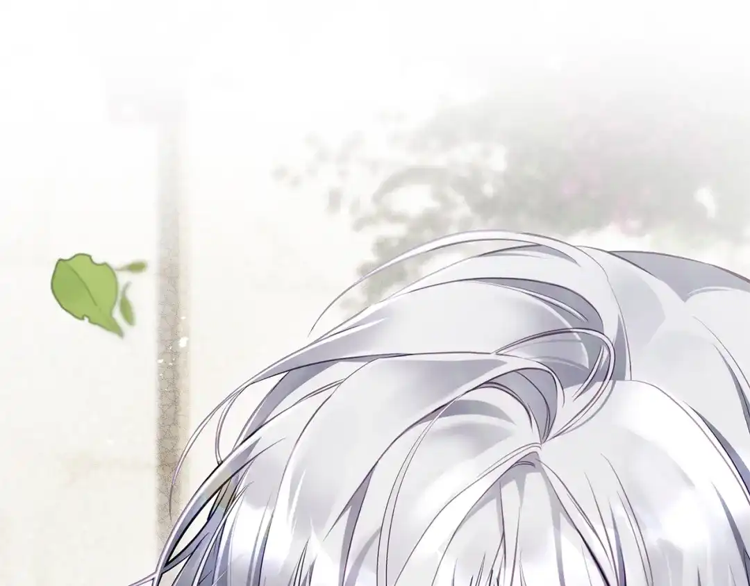 第224页