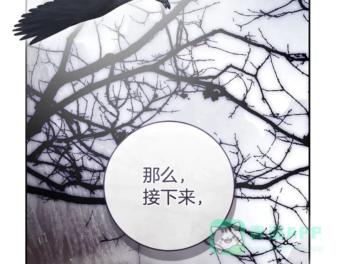 第206页