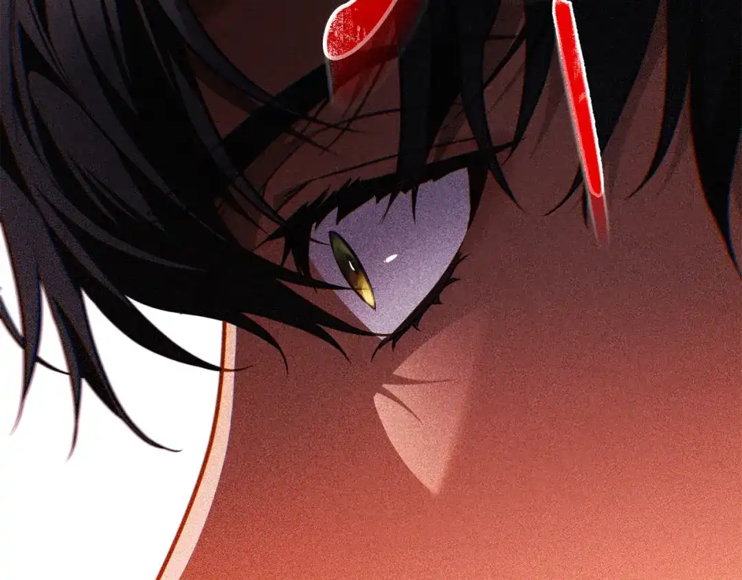 第223页