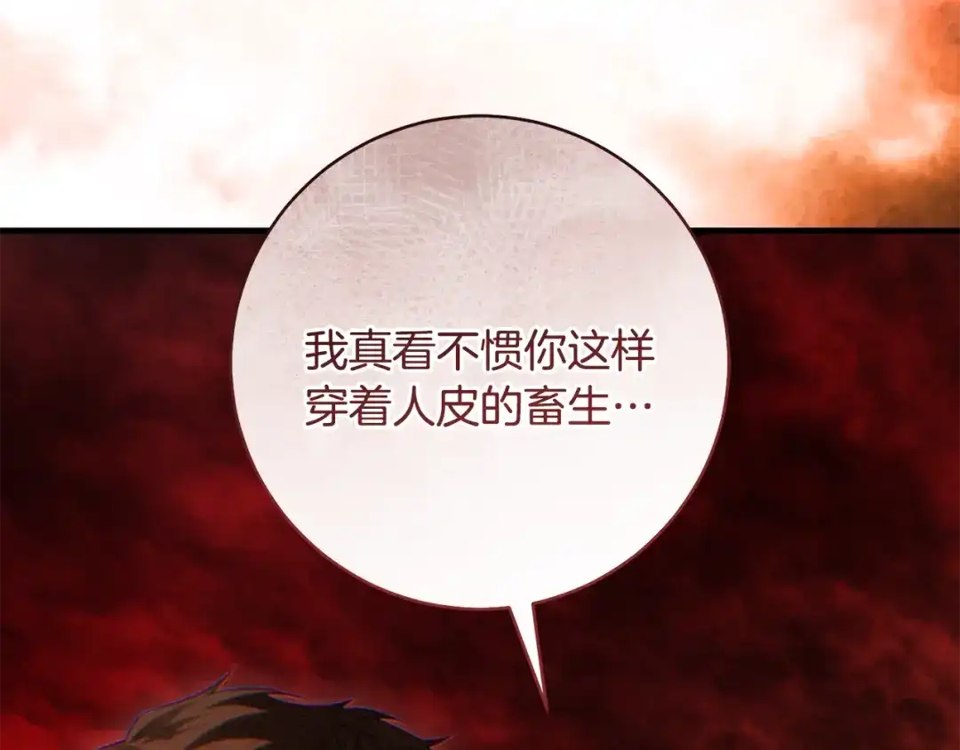 第203页