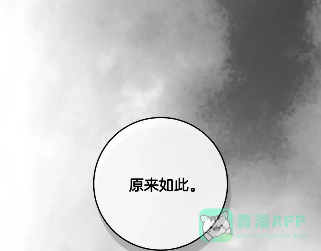第241页