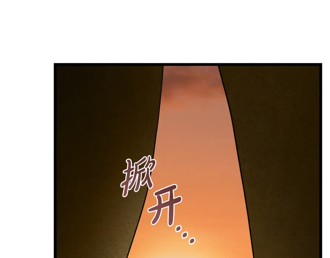 第217页