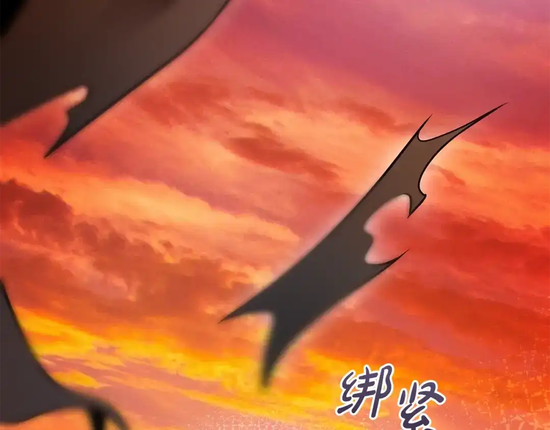 第228页