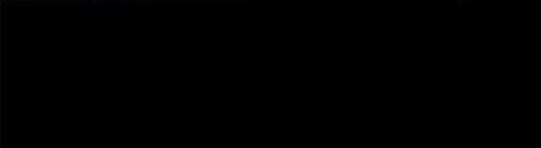 第217页