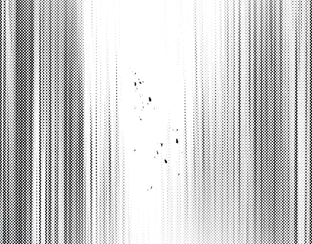 第225页