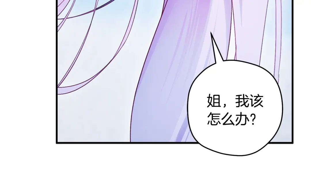 第242页
