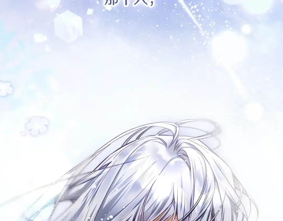 第247页