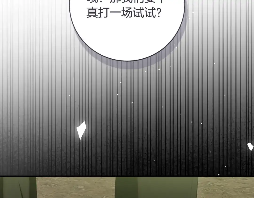第205页