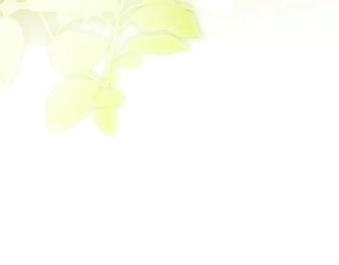 第232页
