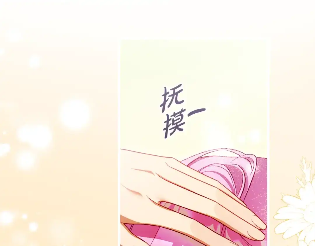 第242页