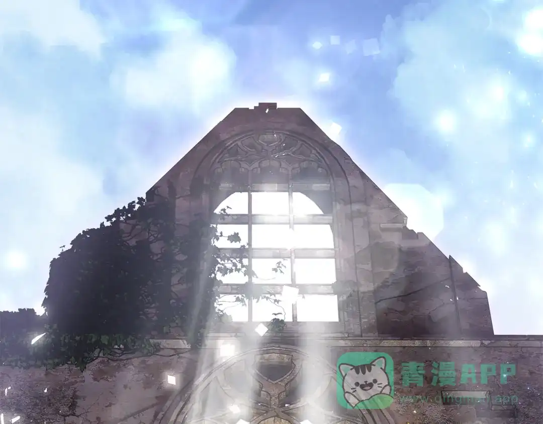第206页