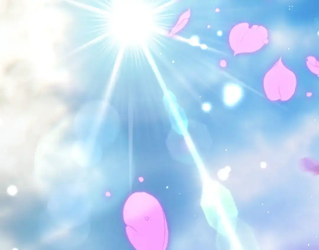 第206页