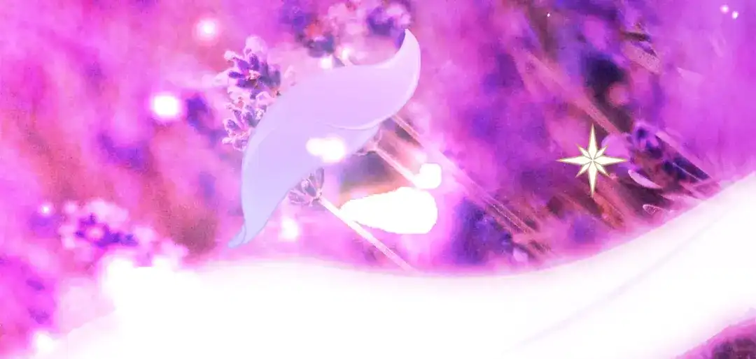 第214页
