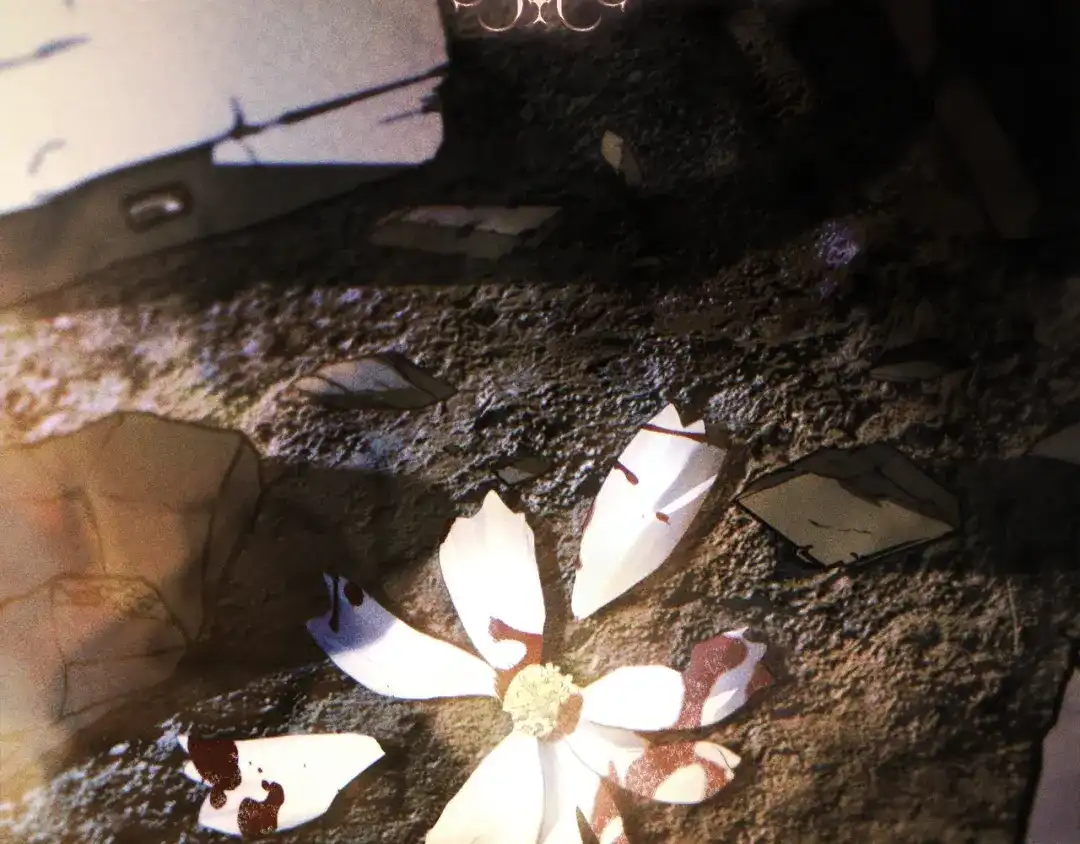 第67页