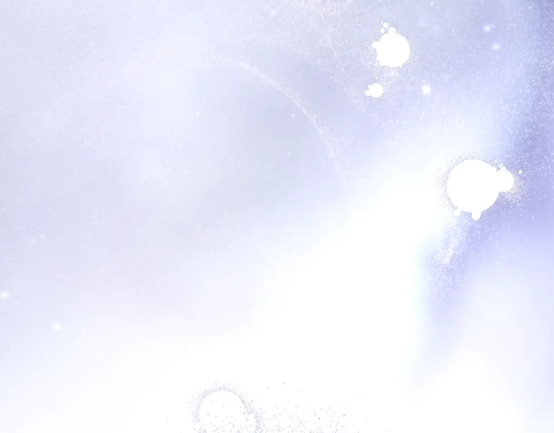 第213页