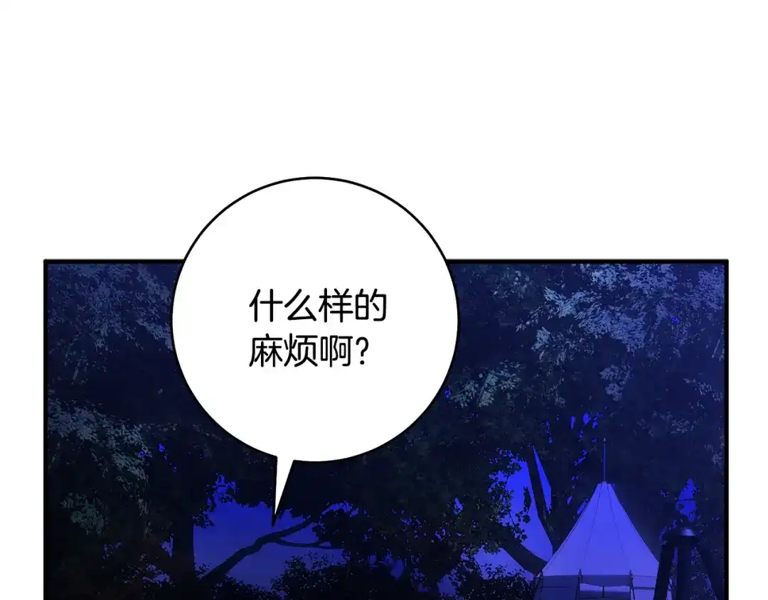 第203页