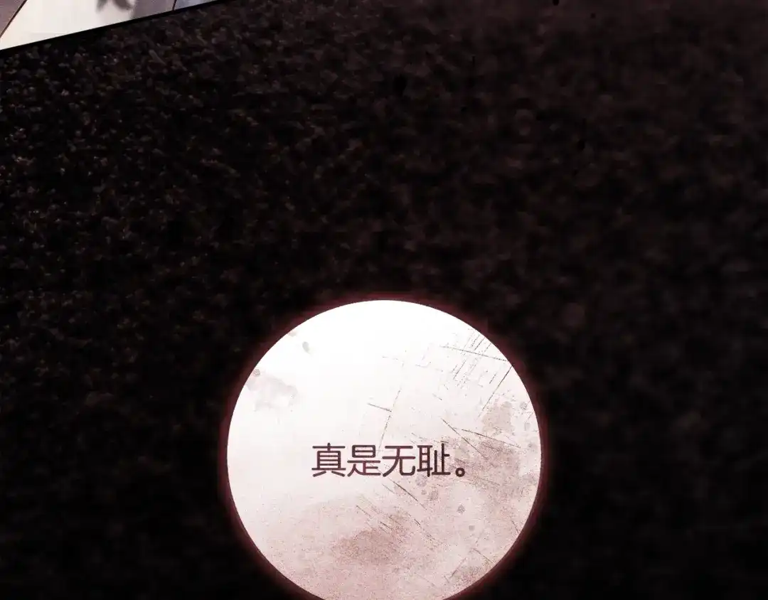 第216页