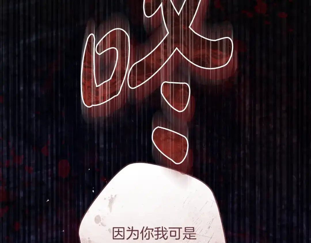 第219页