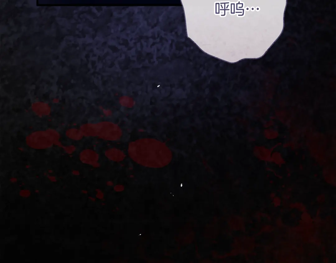第224页