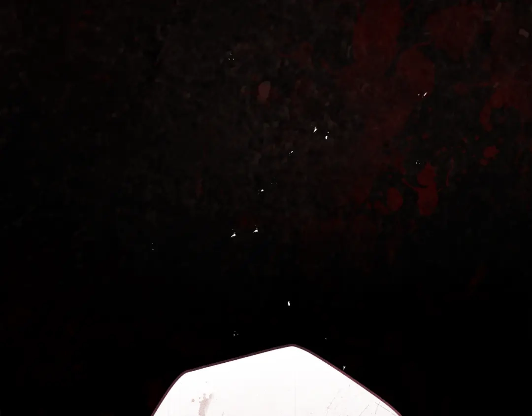 第228页