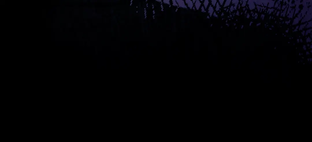 第256页