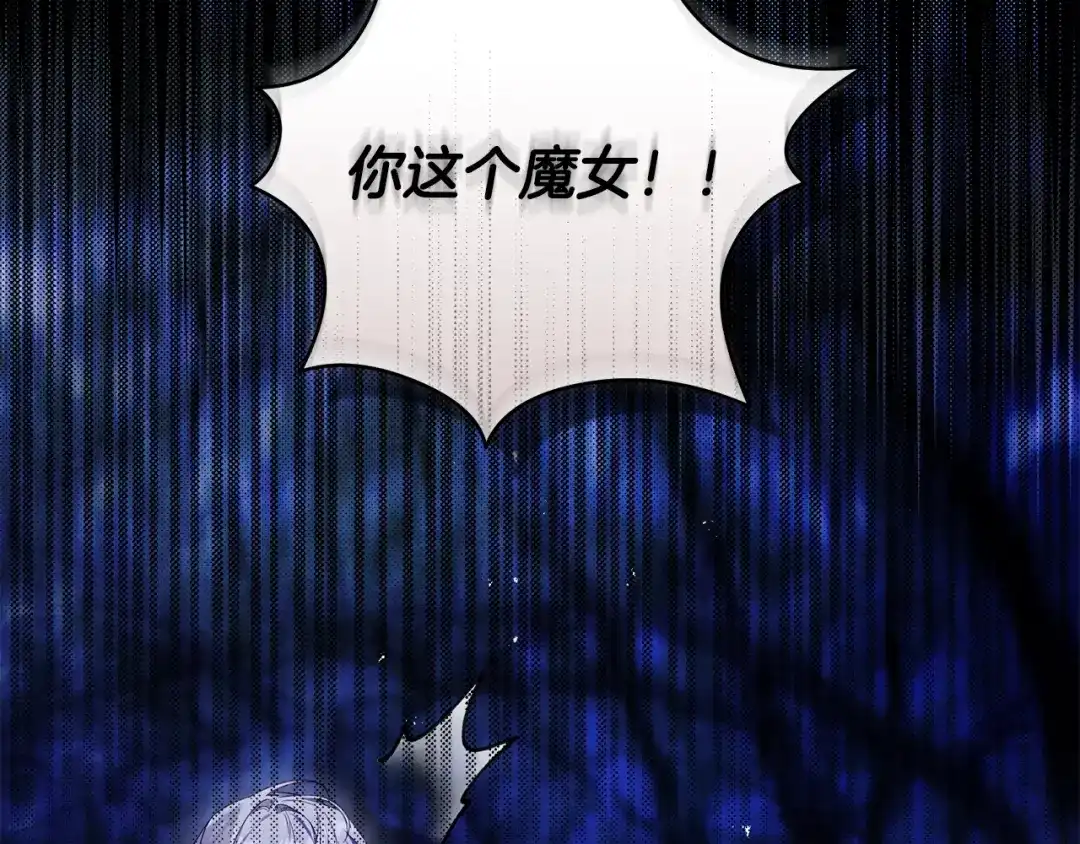 第258页