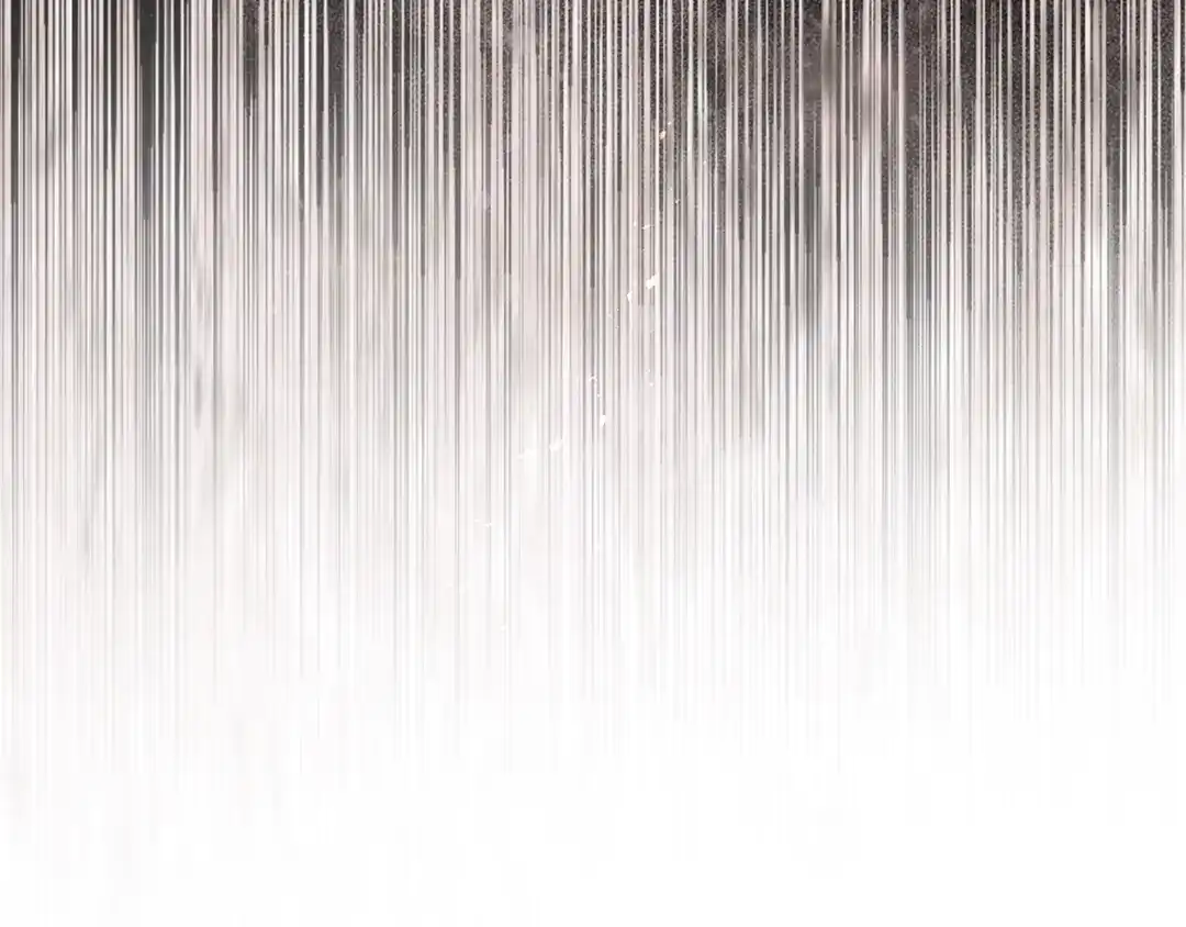 第279页
