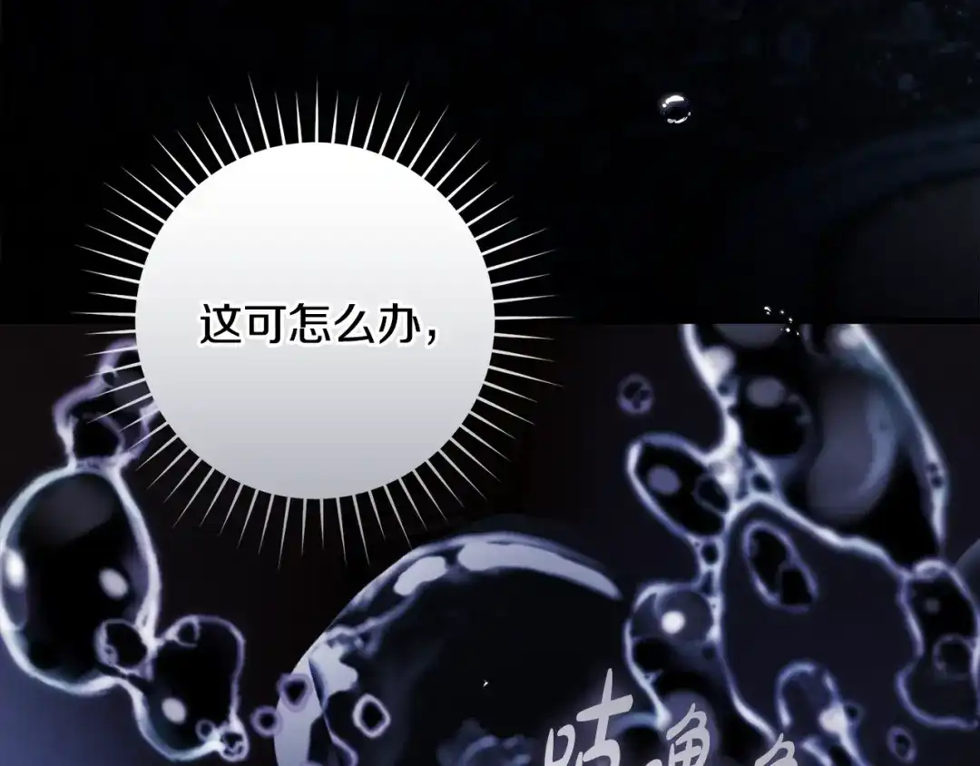第248页