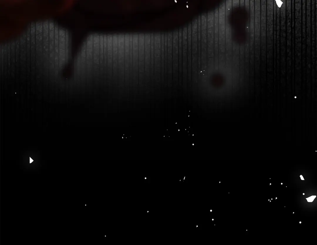 第217页