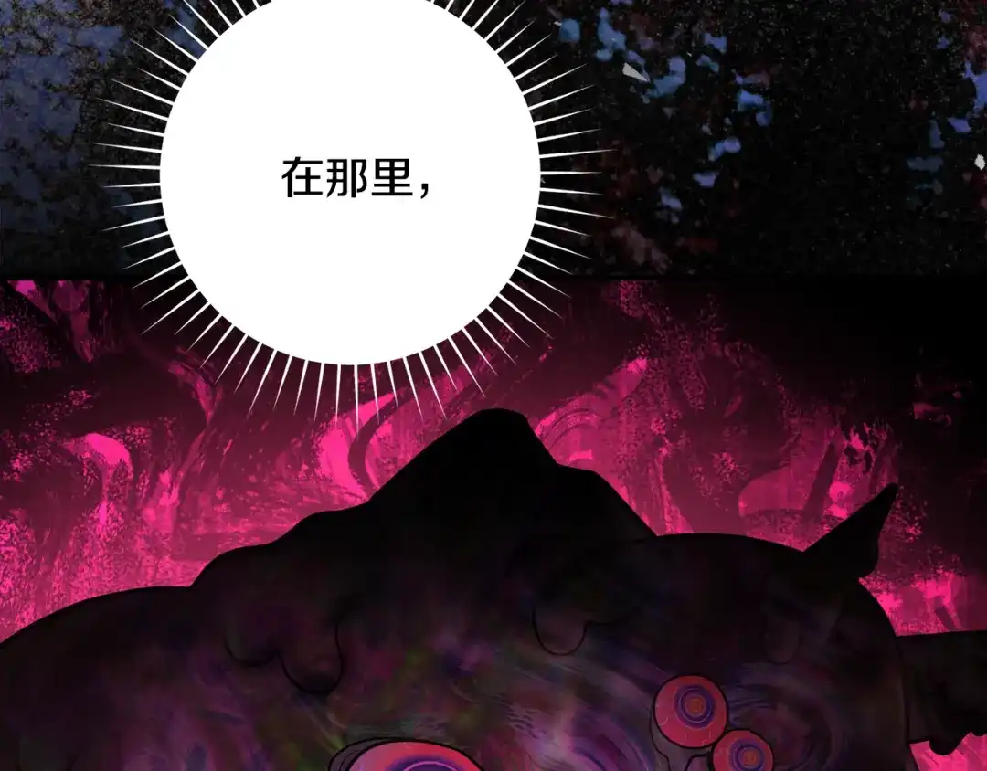 第260页