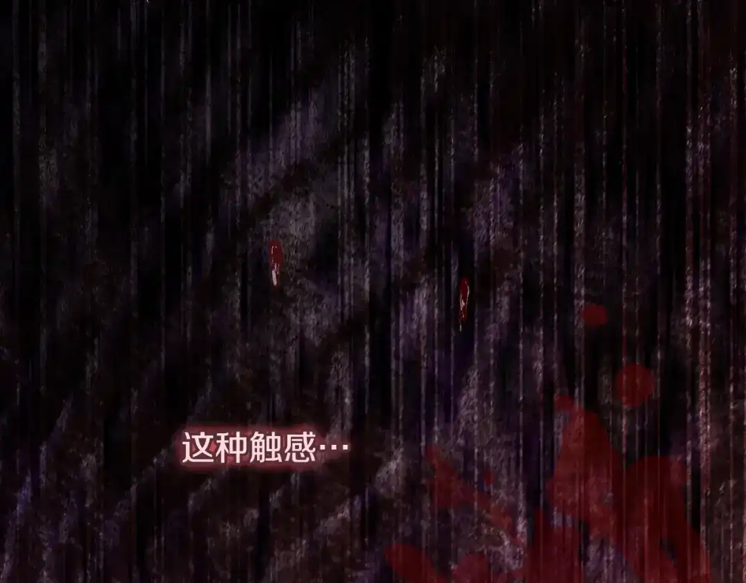 第278页